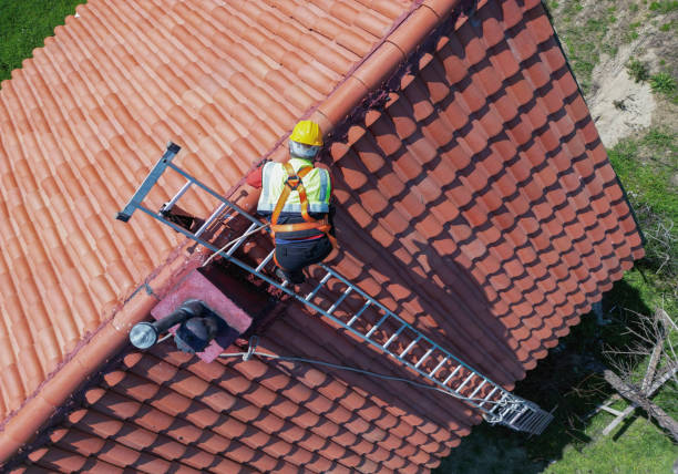 Best Steel Roofing  in Paradise, CA