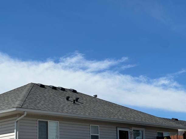 Best Emergency Roof Repair Services  in Paradise, CA